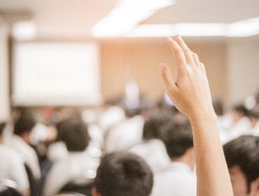 Plantea hipótesis con sentido