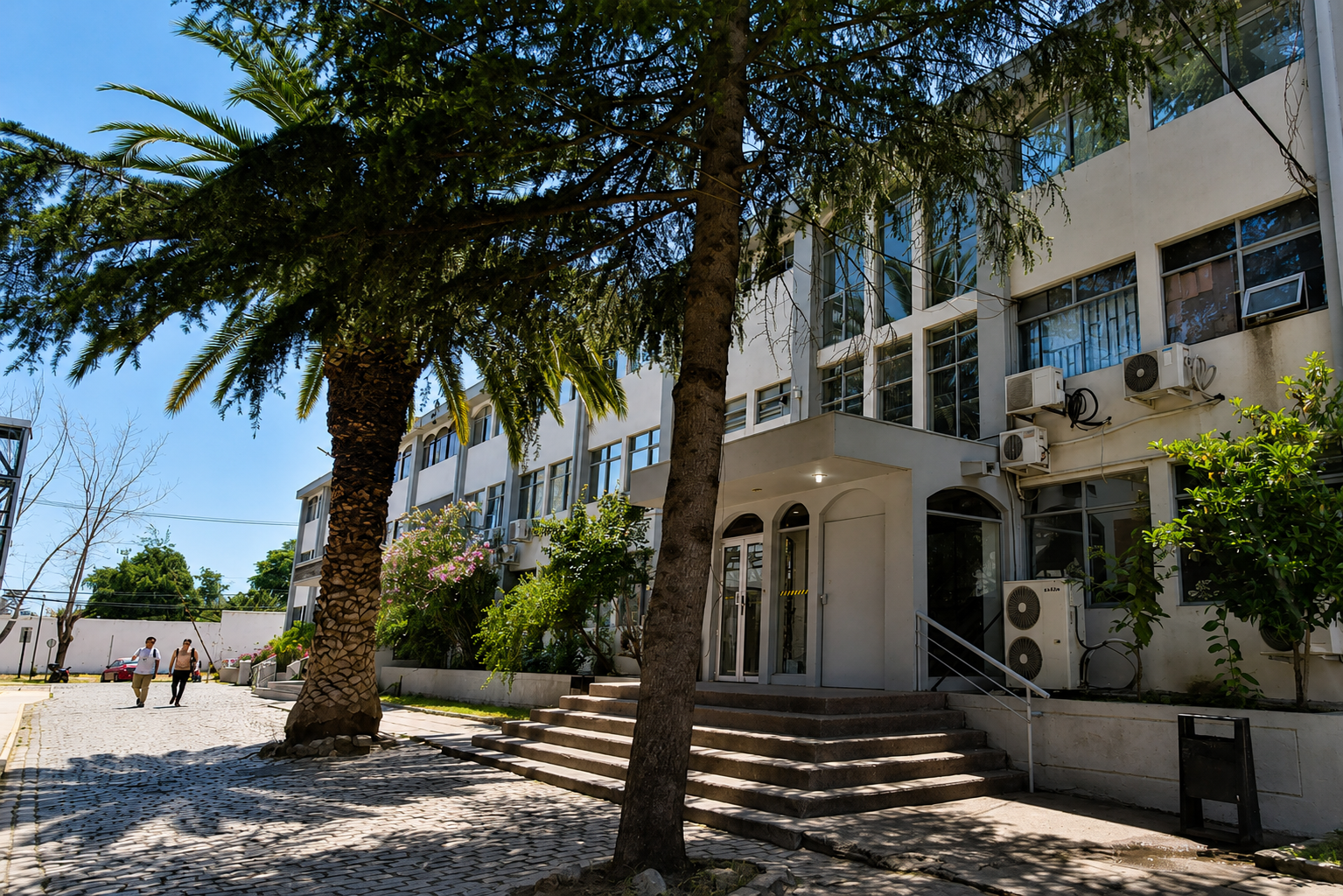 Una nueva área de estudio